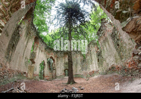 Ruinen der die barocke Wallfahrtskapelle von Saint Mary Magdalene auf dem Berg wenig Blanik Stockfoto