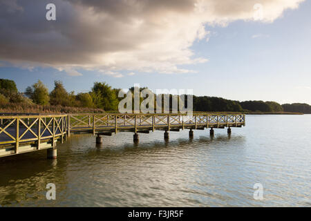 Holzsteg in Binz Stadt, Insel Rügen, Deutschland Stockfoto