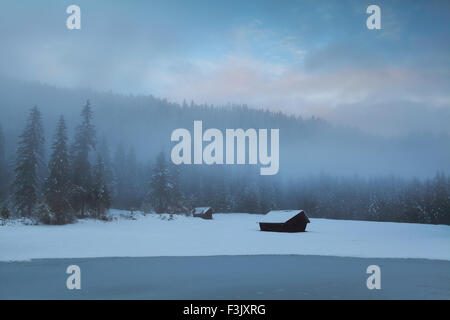 alte Hütten im nebligen alpine Winterwald, Deutschland Stockfoto