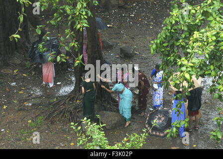 Luftbild Frauen verehren Banyan Baum MwSt Savitri Festival feierte verheiratet Frauen hinduistischen Monat Jyeshtha Borivali Mumbai Indien Stockfoto