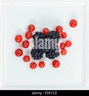 Die roten Johannisbeeren und Brombeeren auf weiß quadratische Platte Stockfoto