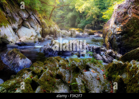 Fairy Glen, Betws-y-Coed, Wales, Vereinigtes Königreich Stockfoto