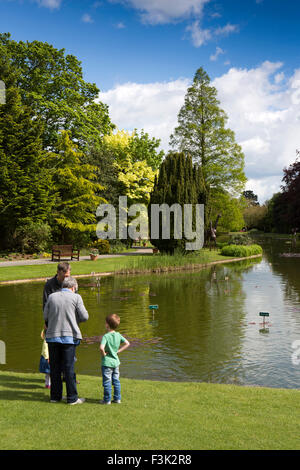 Großbritannien, England, Yorkshire East Riding, Pocklington, Burnby Hall Gardens, Besucher am Ufer des Sees Stockfoto