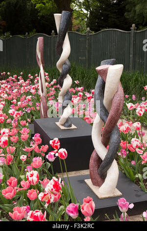 Großbritannien, England, Yorkshire East Riding, Pocklington, Burnby Hall Gardens, Skulptur unter roten und weißen Tulpen Stockfoto
