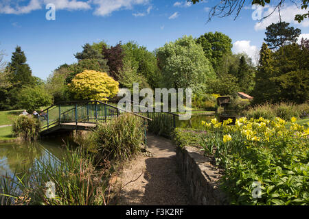 Großbritannien, England, Yorkshire East Riding, Pocklington, Burnby Hall Gardens, Brücke über Teiche Stockfoto