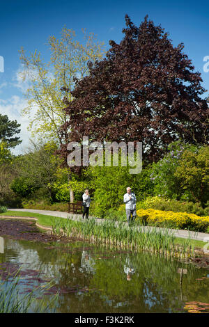 Großbritannien, England, Yorkshire East Riding, Pocklington, Burnby Hall Gardens, Besucher, die bei Sonnenschein am See Stockfoto