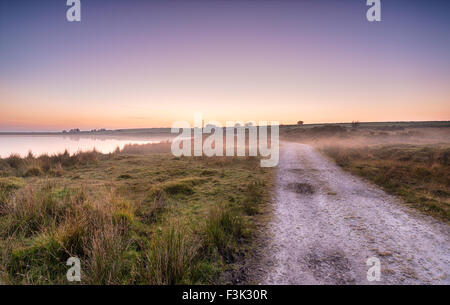 Am Abend Nebel Rollen über Moor am Dozmary Pool einen abgelegenen Ort auf Bodmin Moor in Cornwall Stockfoto