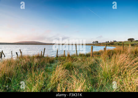 Dozmary Pool, einen kleinen natürlichen See in Bodmin Moor in Cornwall Stockfoto