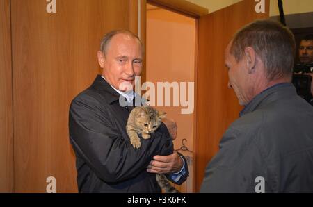 Der russische Präsident Vladimir Putin hält eine Katze, wie er Gehäuse für die Opfer der Waldbrände im Dorf Krasnopolje 4. September 2015 in Chakassien, Russland inspiziert. Stockfoto