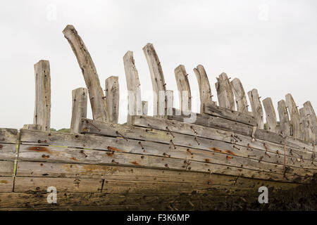 Holzschiff Skelett. Rumpf von einem erheblichen Holzboot verrotten. Nieten und Nägel ist gegen den hölzernen Rumpf deutlich erkennbar Stockfoto