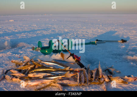 Angeln an der Ostsee Stockfoto