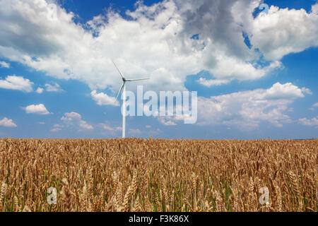 Generatoren von Windkraftanlagen auf Weizenfeld in Rumänien Stockfoto