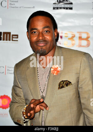 "Der Mann in 3 b" VIP-screening und Q&A im Diplomat & Spa Resort Hollywood, präsentiert im Rahmen des National Black Chamber Of Commerce (NBCC) 23. jährliche Konferenz Featuring: Lamman Rucker wo: Hollywood, Florida, USA bei: 6. August 2015 Stockfoto