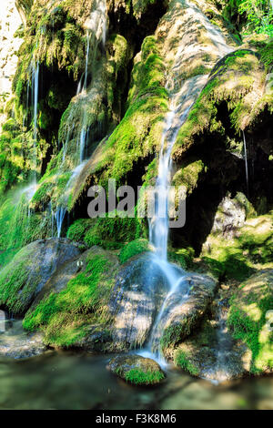 Cascada La Vaioaga in Cheile Nerei National park - Rumänien Stockfoto