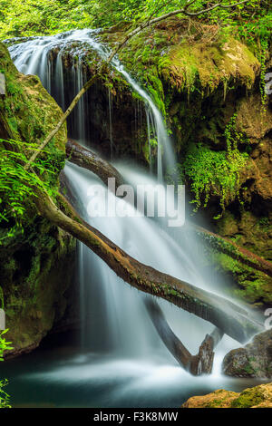 Cascada La Vaioaga in Cheile Nerei National park - Rumänien Stockfoto