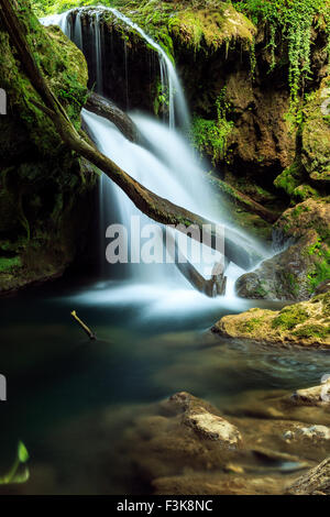 Cascada La Vaioaga in Cheile Nerei National park - Rumänien Stockfoto