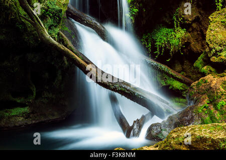 Cascada La Vaioaga in Cheile Nerei National park - Rumänien Stockfoto