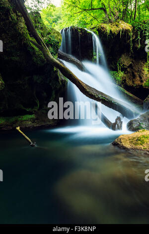 Cascada La Vaioaga in Cheile Nerei National park - Rumänien Stockfoto