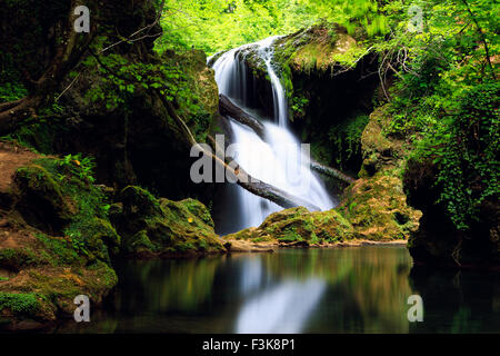 Cascada La Vaioaga in Cheile Nerei National park - Rumänien Stockfoto