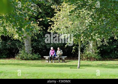 Älteres Paar sitzt auf einer Steinbank in einer Parklandschaft Stockfoto