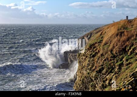 Seegang an Küsten im Durlston Head in der Nähe von Swanage Dorset UK Stockfoto