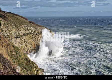 Seegang an Küsten im Durlston Head in der Nähe von Swanage Dorset UK Stockfoto