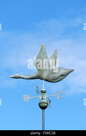 Kanada-Gans Metall Wetterfahne Stockfoto