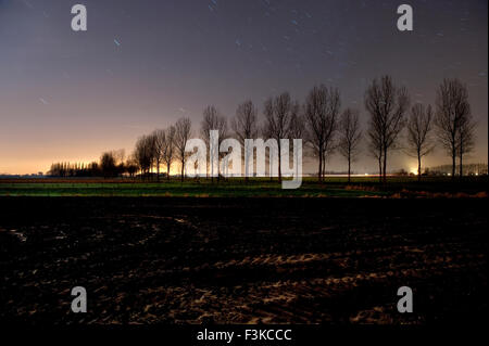 Nächtliche mondbeschienenen Landschaft im Meetjesland Stockfoto