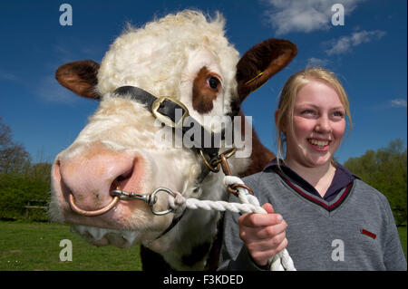 Die Ulmen Schule, Malvern, eine koedukative, unabhängige, Internat, vorbereitende Schule, mit einem angeschlossenen Bauernhof. ein UK-Kinder-Stier Stockfoto