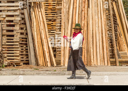 Andengemeinschaft Bäuerin Spinnen von Wolle Unterwegs. Stockfoto