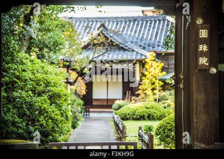 Toeizan Kaneiji Tempel Enjuin, Taito-Ku, Tokyo, Japan Stockfoto