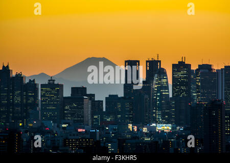 Abendstimmung, Wolkenkratzer von Shinjuku und Mt Fuji.View von Bunkyo-Ku, Tokyo, Japan Stockfoto