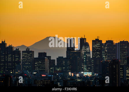 Abendstimmung, Wolkenkratzer von Shinjuku und Mt Fuji.View von Bunkyo-Ku, Tokyo, Japan Stockfoto