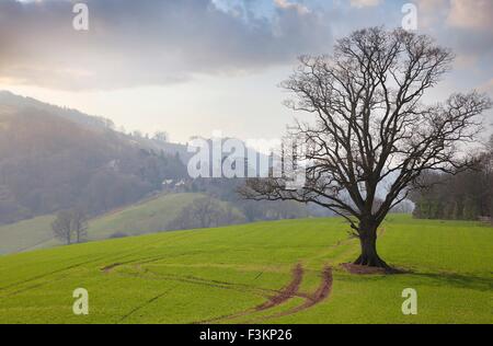 Blick über Herefordshire Landschaft im Winter, England. Stockfoto