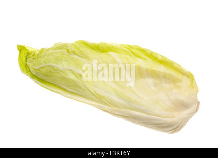 Grüner Salat, isoliert auf weiss Stockfoto