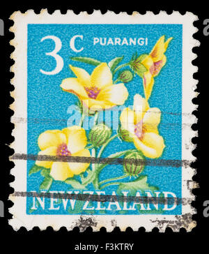 Neuseeland - CIRCA 1967: Eine Briefmarke gedruckt in Neuseeland zeigt eine Puarangi Blume, Hibiscus Richardsonii, circa 1967 Stockfoto