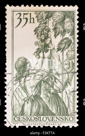Tschechoslowakei - ca. 1956: Eine Briefmarke gedruckt in Tschechoslowakei zeigt Hop plukkers Stockfoto
