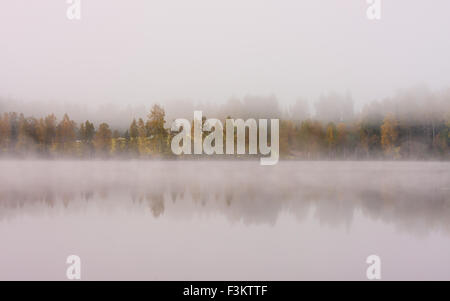 Nebligen See Scape und lebendigen Herbstfarben in den Bäumen Stockfoto