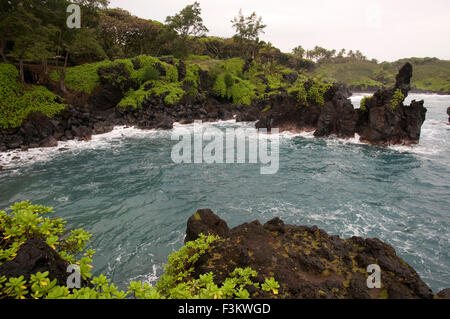 Wai'anapanapa State Park. Eine grüne Lage mit Meeresgrotten und vulkanischen Felsen. Hana Highway. Maui. Hawaii. Dies ist ein toller Zwischenstopp Stockfoto