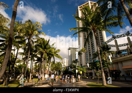 Gebäude und Hotels in Waikiki Beach. Kalakaua Avenue. O' ahu. Hawaii. Befindet sich am südlichen Ufer Honolulu, die weltberühmte Stockfoto