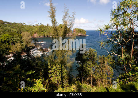 Blick von der Panorama Route-Pepe'ekeo auf die Küste. Big Island. Hawaii. Pepe'ekeo Fahrt. Die Pepe'ekeo (auch bekannt als O Stockfoto