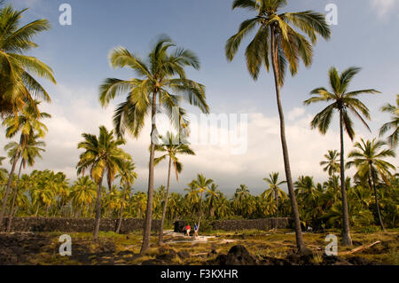 Herrenhäuser Gärten. Pu'uhonua o Honaunau National Historic Park. Big Island. Hawaii. Bis zum frühen 19. Jahrhundert auf Big Island, H Stockfoto