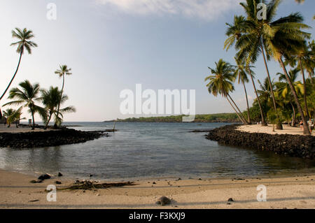 Eine Schildkröte auf dem Strand von Pu'uhonua o Honaunau National Historic Park. Big Island. Hawaii. Grüne Meeresschildkröte. Grüne Meeresschildkröte auf Stockfoto