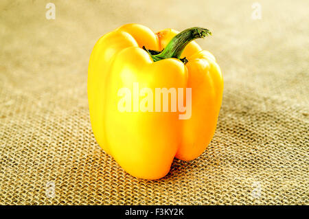 Bauernhof Bio frische gelbe Paprika auf hessischen sack Stockfoto