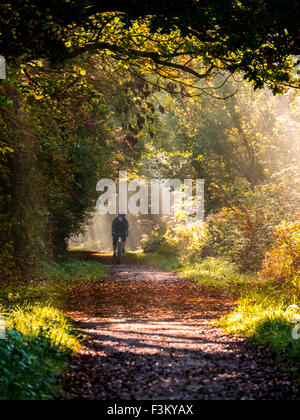 Lange Itchington, Warwickshire, UK. 9. Oktober 2015. Weibliche Radfahrer Zyklen entlang Stonebridge Lane demontiert Eisenbahnlinie. Wellen des Sonnenlichts in den Nebel dringt durch die Blätter an einem kalten, sonnigen herbstlichen Morgen. Bildnachweis: Dan Tucker/Alamy Live-Nachrichten Stockfoto