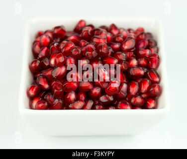 Makroaufnahme einer rote Granatapfelkerne in Schüssel weiß auf weiß Stockfoto