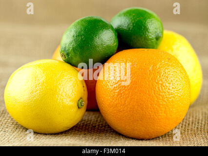 Haufen von saftigen Zitrusfrüchten mit Limetten, Zitronen und Orangen Stockfoto