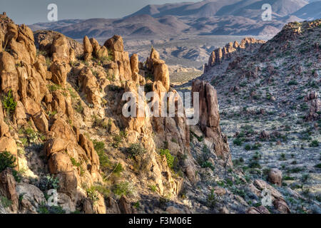 Steinwüste in Big Bend Nationalpark (hoher Dynamikbereich-Technik), Texas, USA Stockfoto