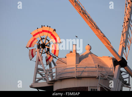 Cley Windmühle bei Cley next am Meer an der Küste von North Norfolk mit Stare auf die Segel. Stockfoto