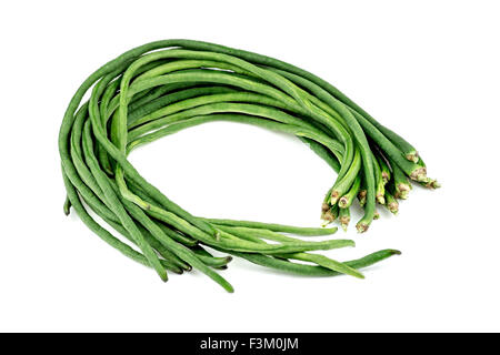 Bio Cowpea Bohnen isoliert auf weiss Stockfoto